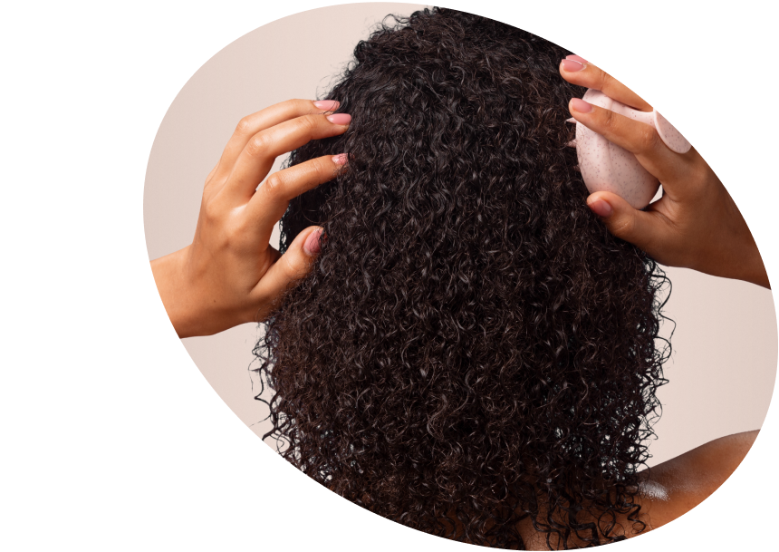 متجر  العناية  بالشعر:  الشامبو  والبلسم  والأقنعة  ومضادات  القشرة  والتصفيف  الإمارات  العربيّة  المتّحدة