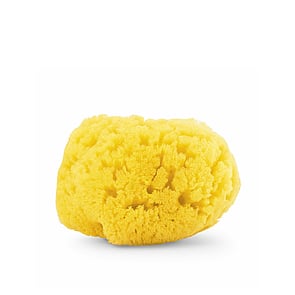 Chicco Natural Sea Sponge Medium 0m+