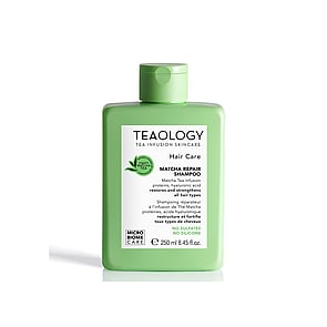 Teaology Hair Care Matcha Repair Shampoo 250ml (8.45 fl oz)