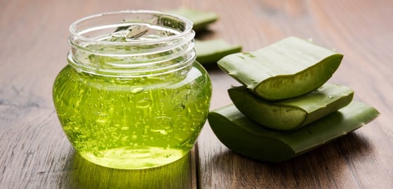 aloe vera gel aus gypten kaufen ALOE VERA GEL BIO  Soena Naturals
