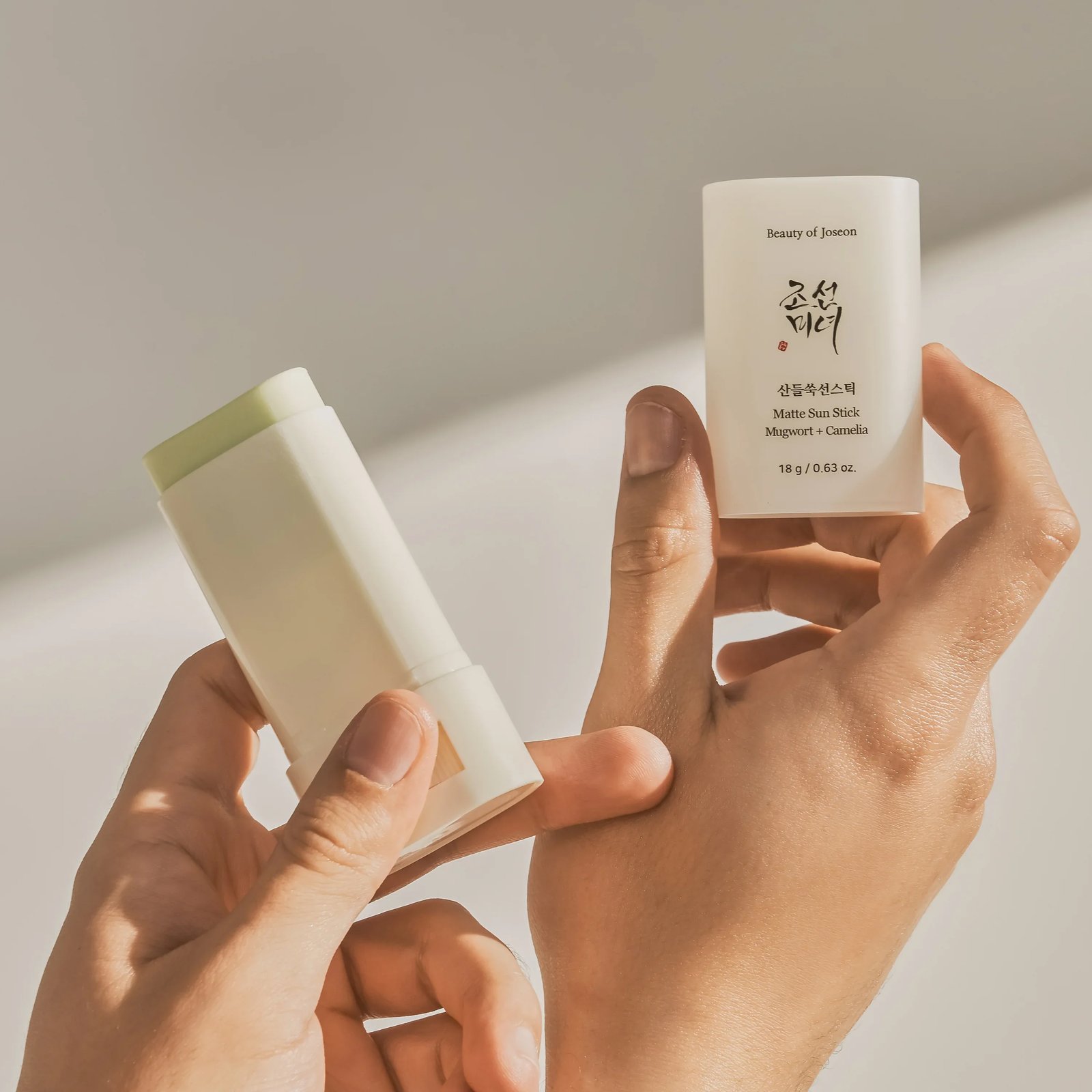 Beauty of Joseon Stick Solar Matte Artemísia + Camélia SPF50+ 18g
