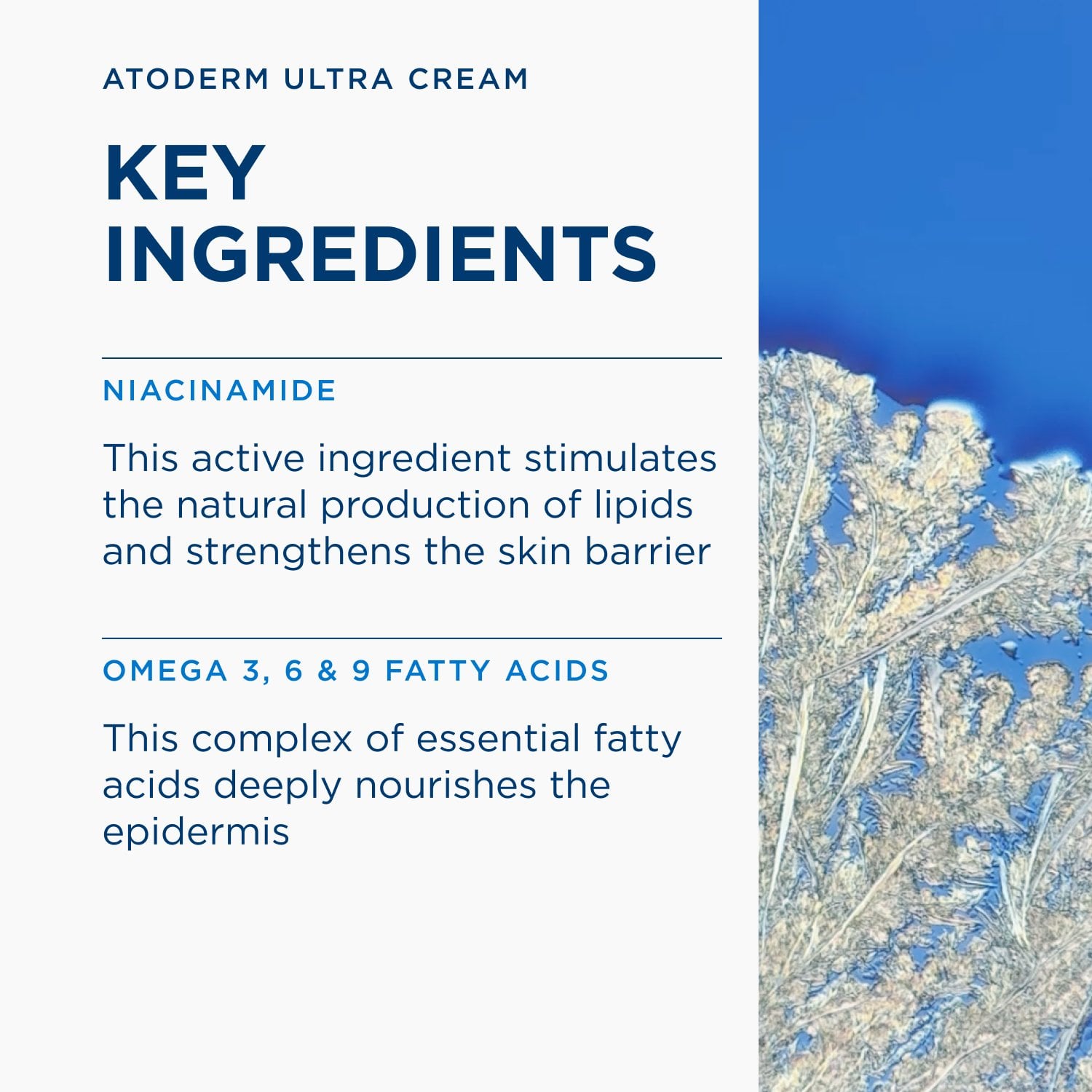 Bioderma Atoderm Crème Crema Idratante Ultra-Nutriente 200ml