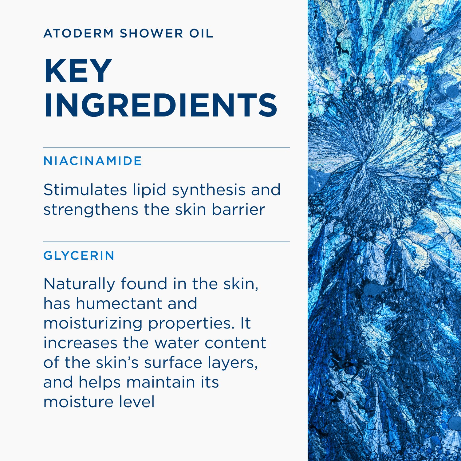 Bioderma Atoderm Huile de Douche Soothing Lipid-Replenishing Cleansing Oil 500ml