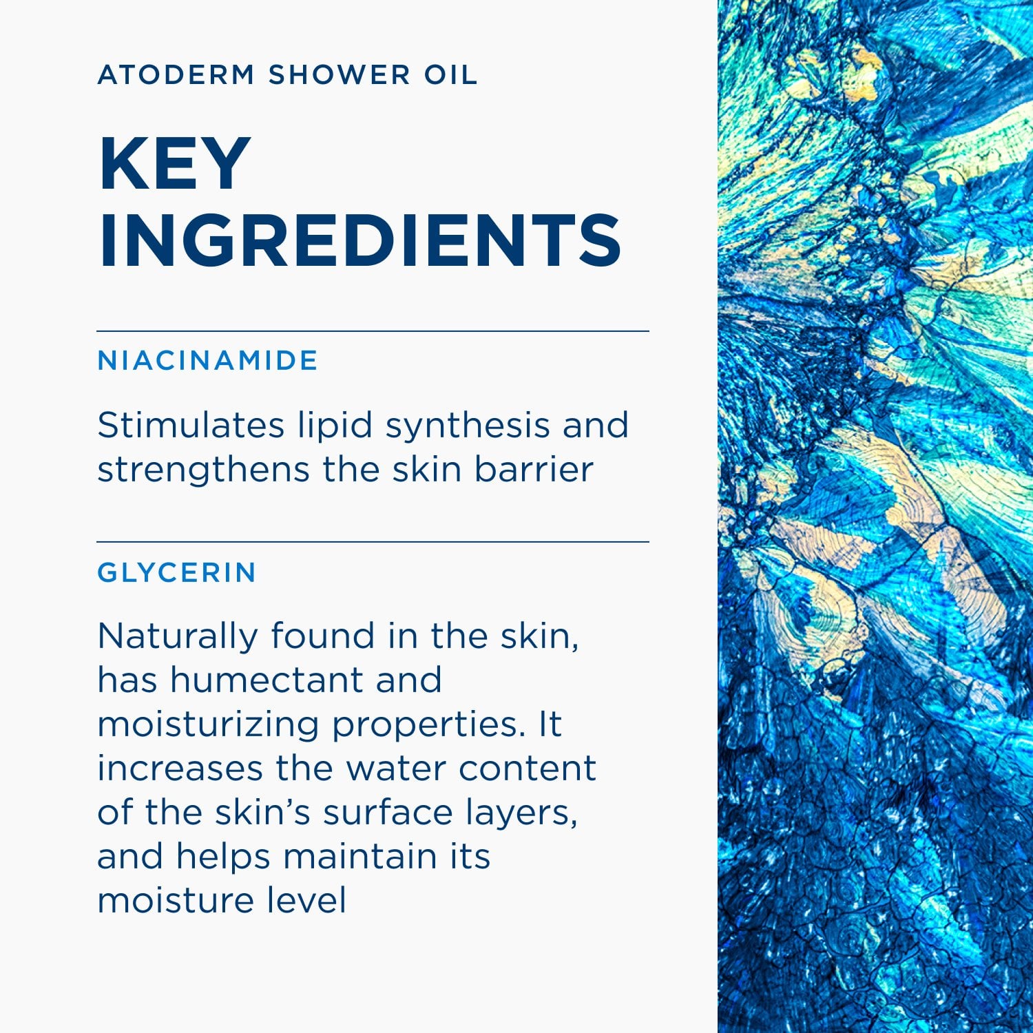 Bioderma Atoderm Aceite de Ducha Limpiador Calmante Relipidizante Recambio Ecológico 1L