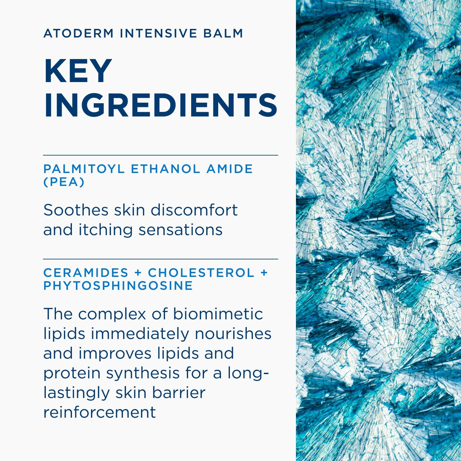 Bioderma Atoderm Intensive Baume Ultra-Rogivande Balsam 500ml x2