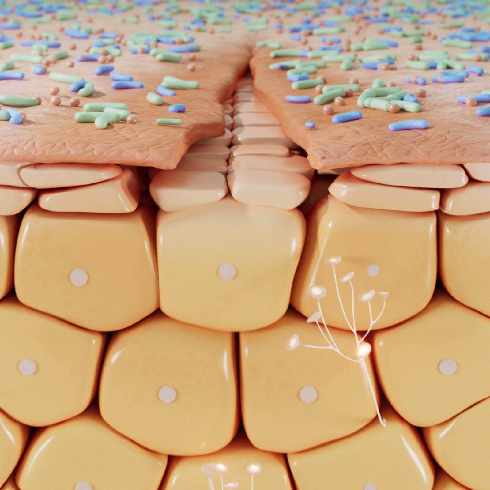 Bioderma Cicabio Crème+ Ultra-Repairing Soothing Cream 100ml