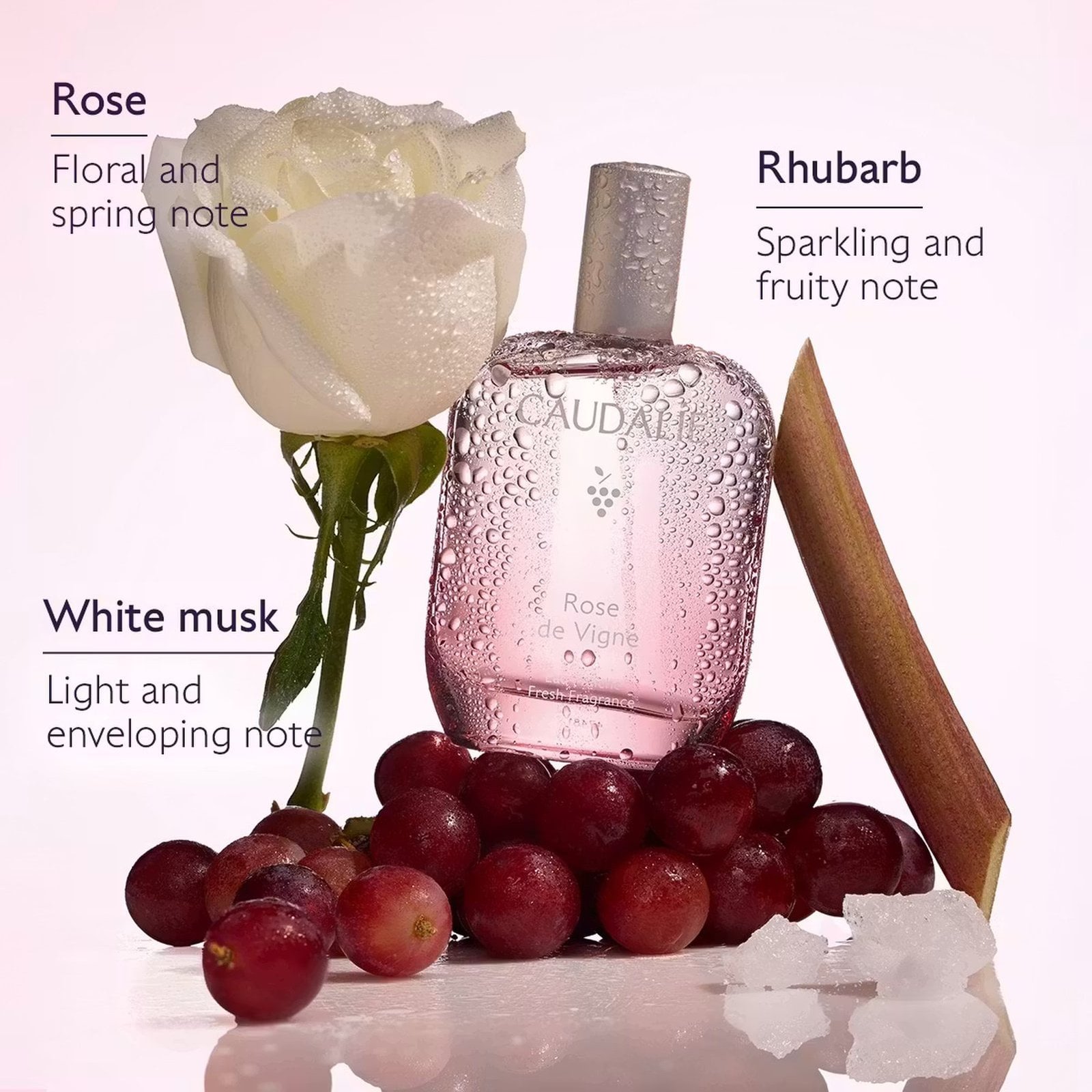Caudalie Rose de Vigne Fresh Fragrance 50ml