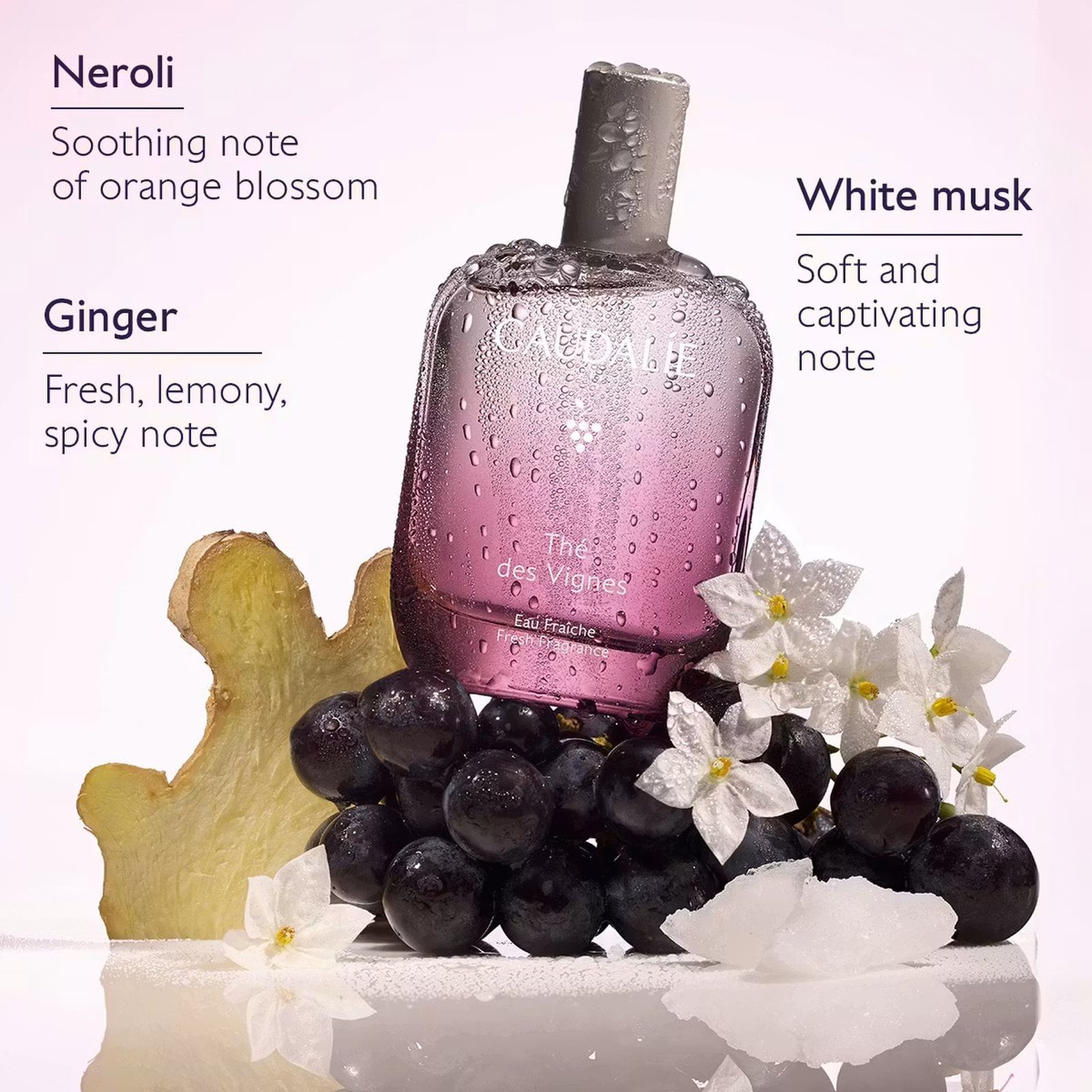 Caudalie Thé Des Vignes Fresh Fragrance 50ml
