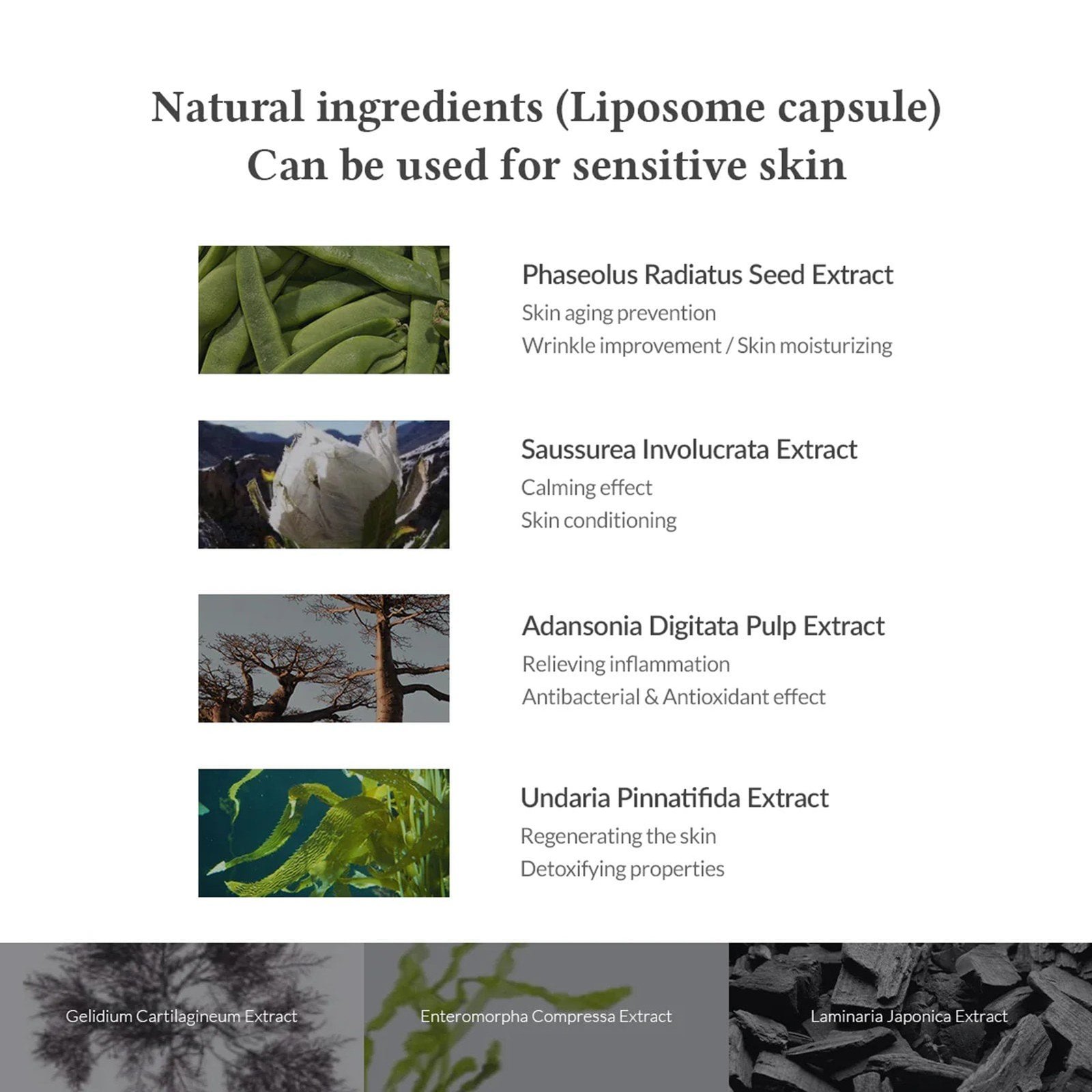 Dr. Althea Premium Quick Step Sebum Cleanser 100ml