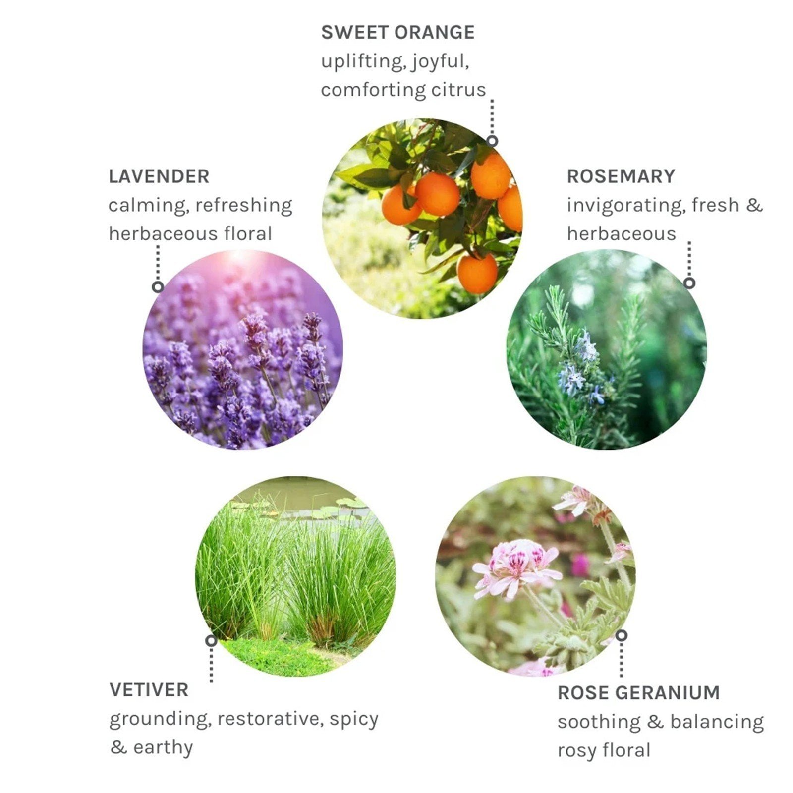 Evolve Pure Tranquility Aromatic Hand & Body Lotion 250ml