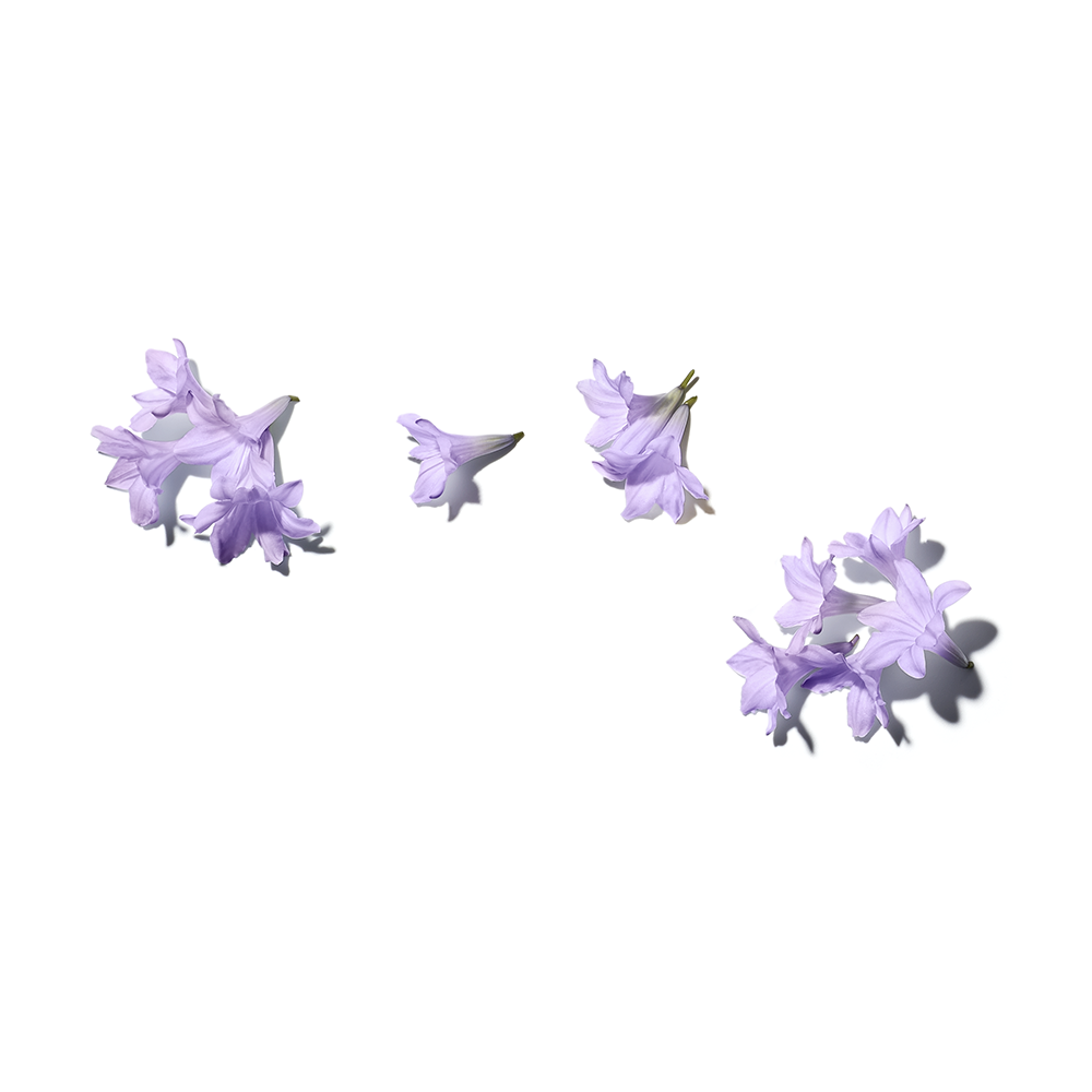 Benamôr Jacarandá Calming Hand Cream 75ml