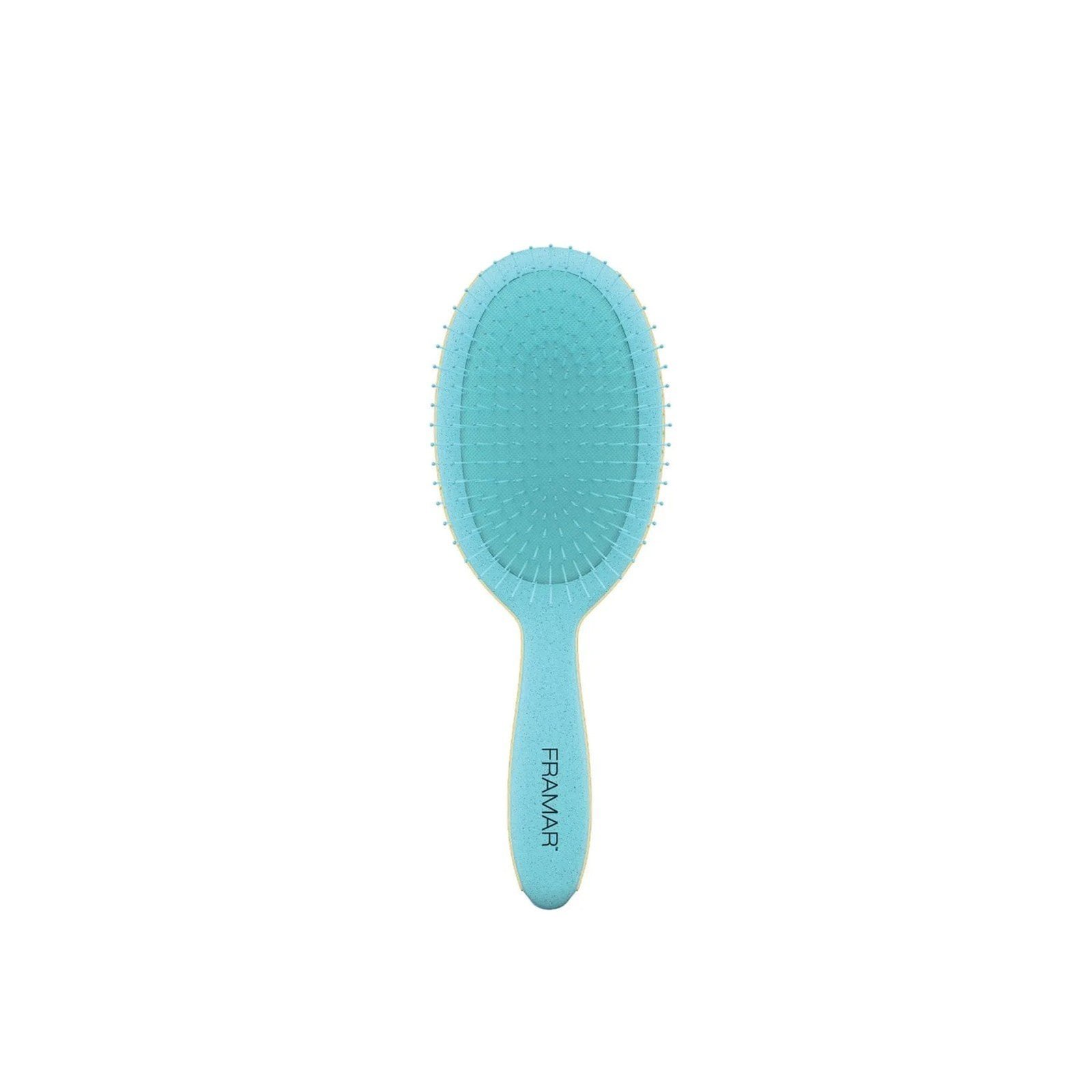 Framar Detangle Brush Baecation Aqua