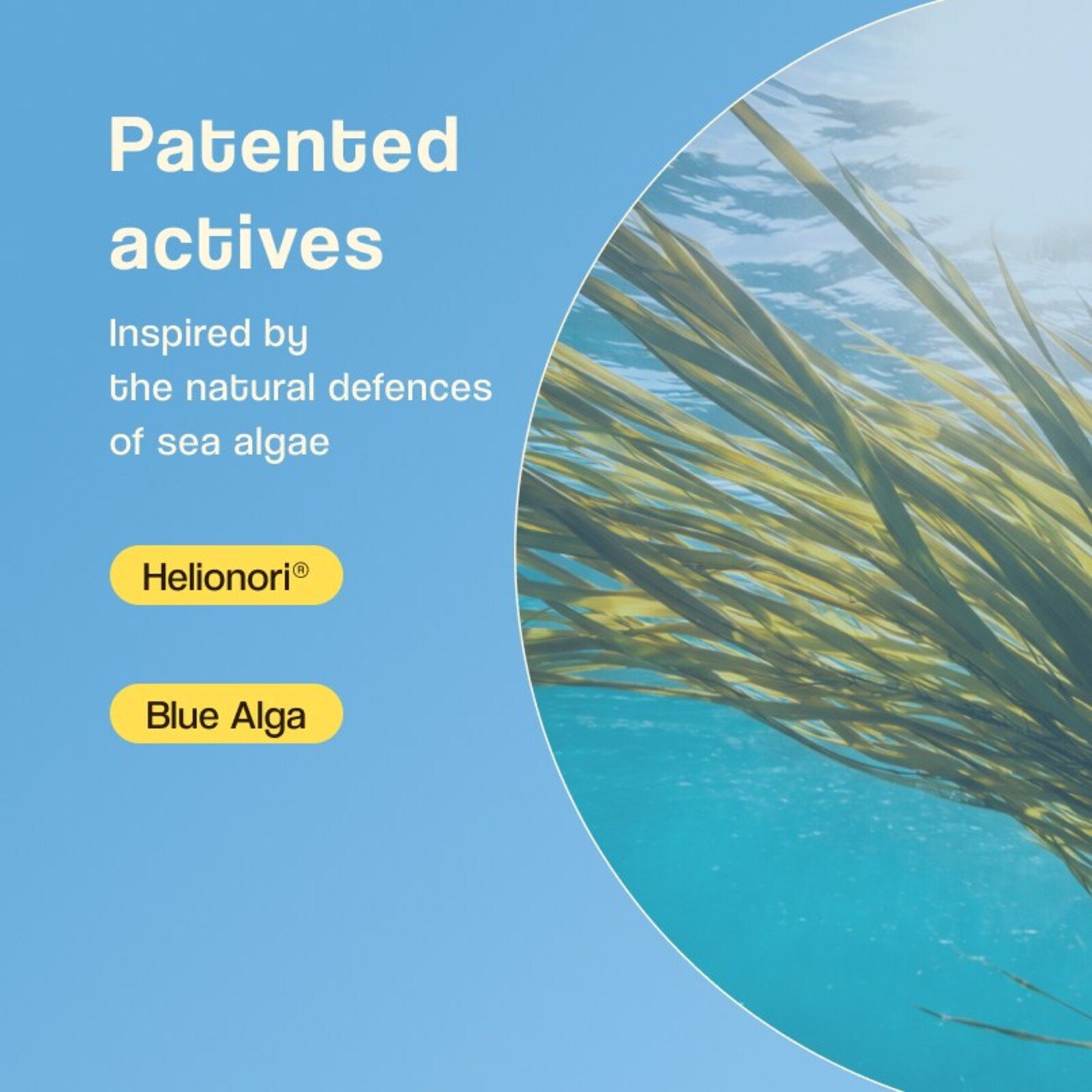 Freshly Cosmetics D+ Natural Suncare Mineral Fluid Sunscreen SPF50 50ml