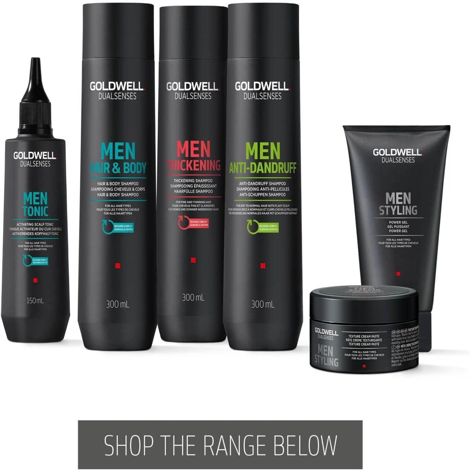 Goldwell Dualsenses Men Anti-Dandruff Shampoo 300ml