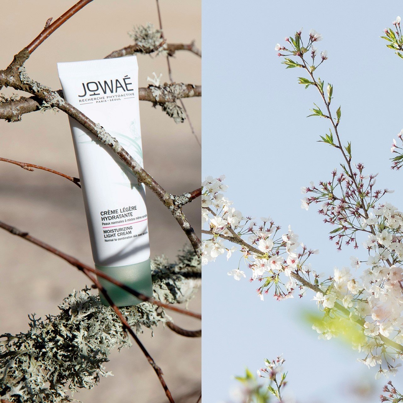 JOWAÉ Moisturizing Light Cream 40ml