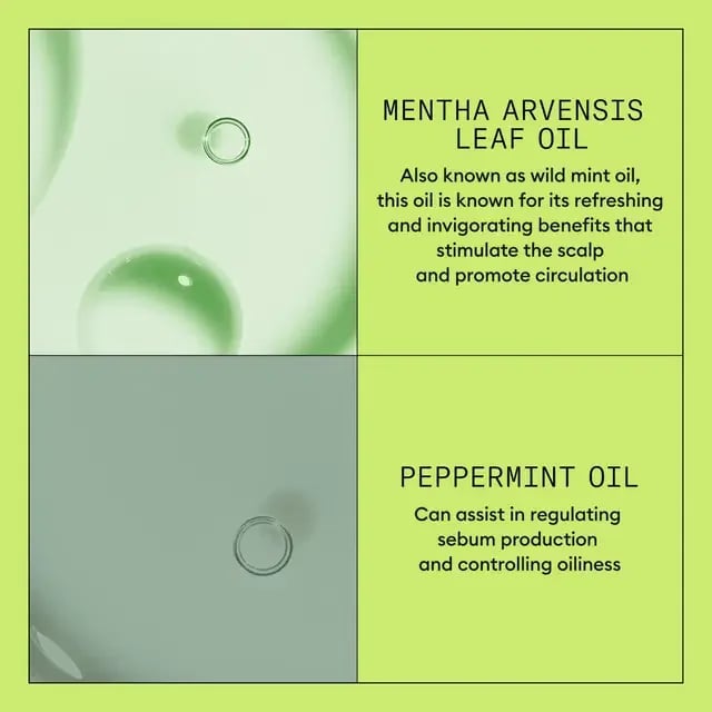 Nioxin System 2 Scalp + Hair Conditioner 1L