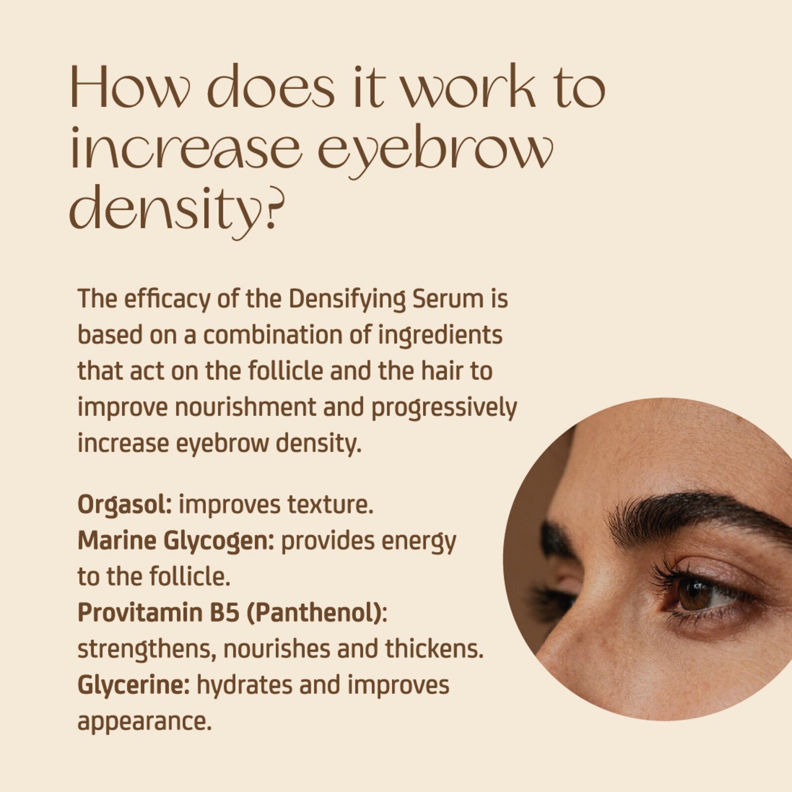 Nuggela & Sulé Brow Serum Densifier + Brush 5ml
