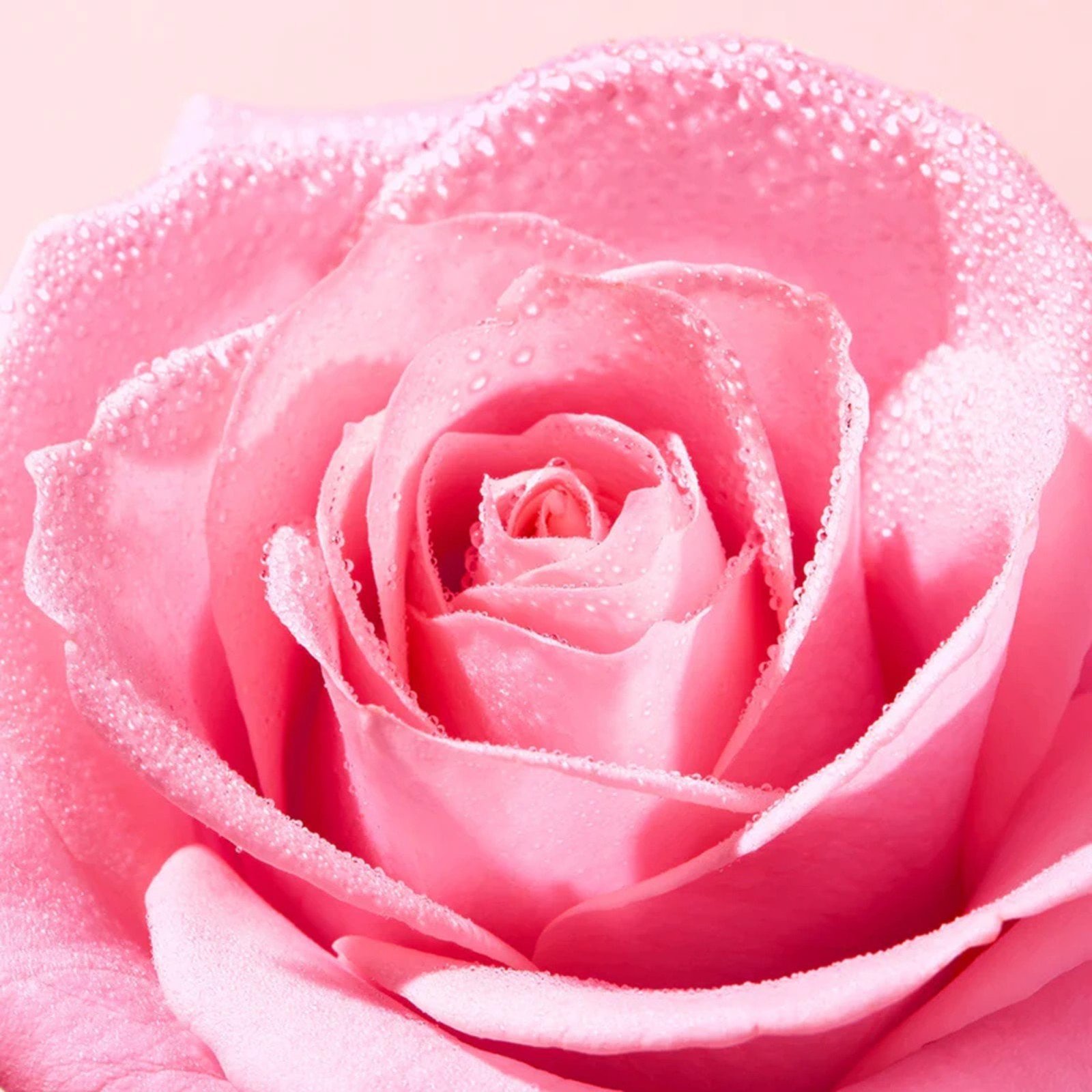 NUXE Very Rose Soothing Cleansing Micellar Water 750ml