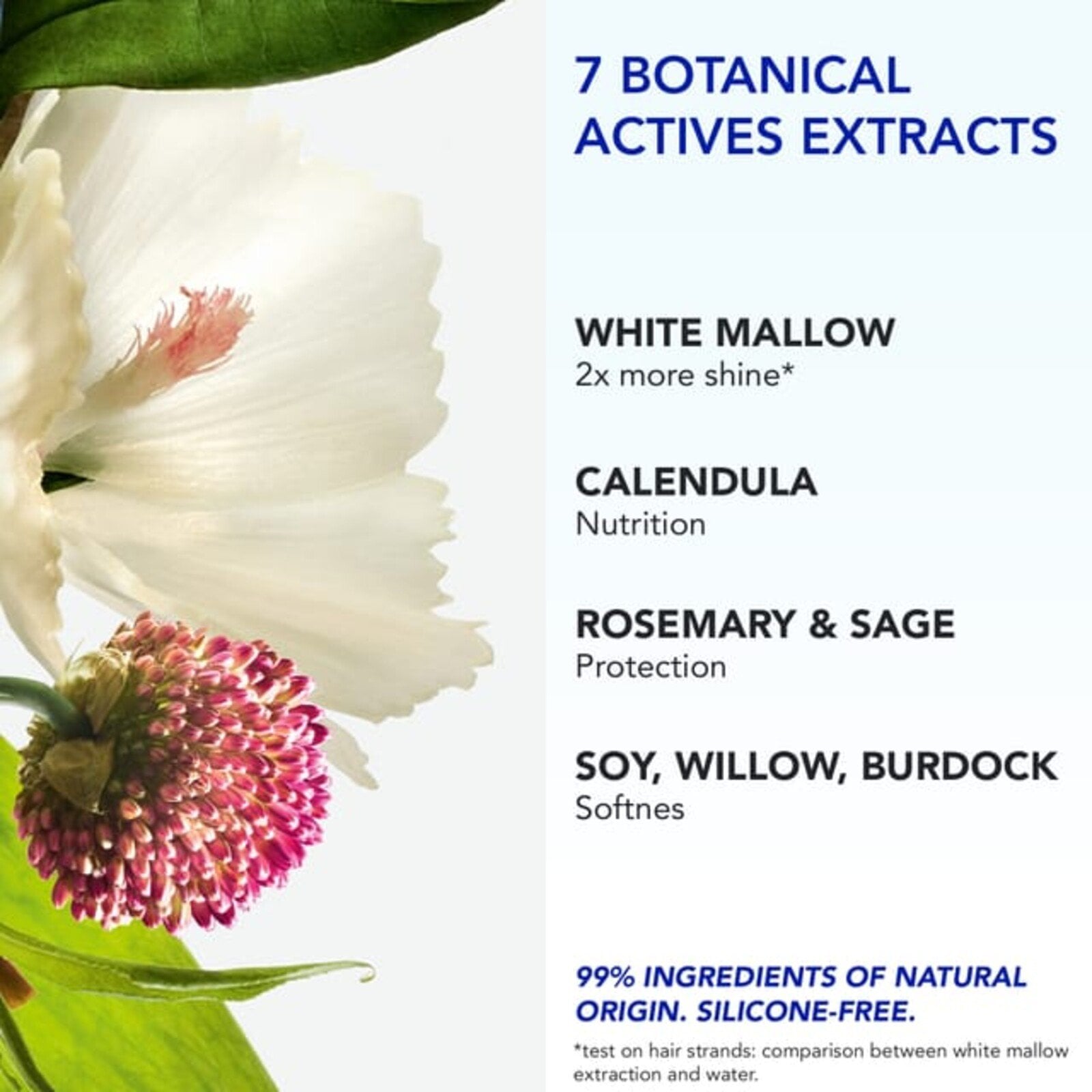 Phyto 7 Elixir Universal Day Cream 50ml