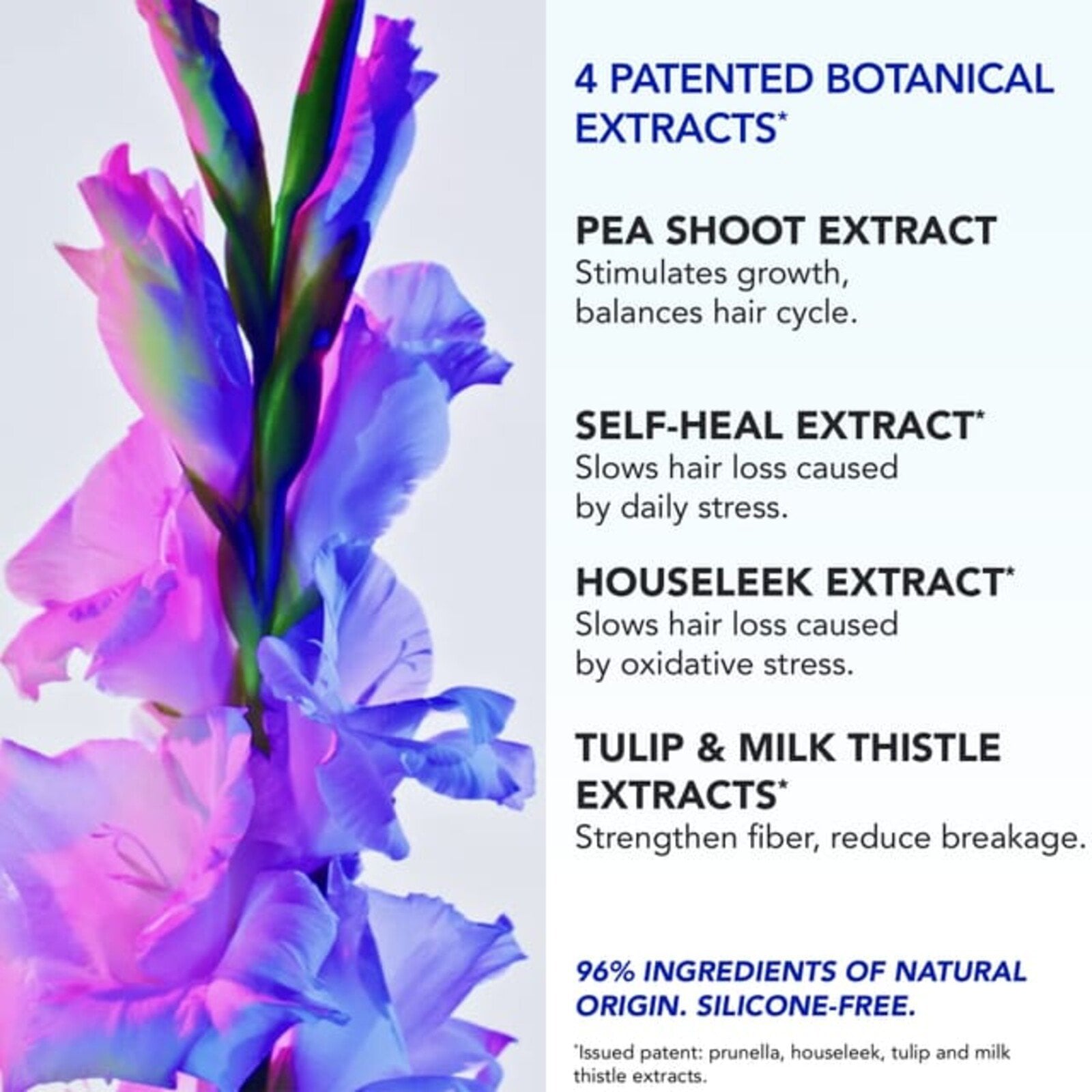 Phytophanere Anti-Reactive Hair Loss Treatment 12x5ml