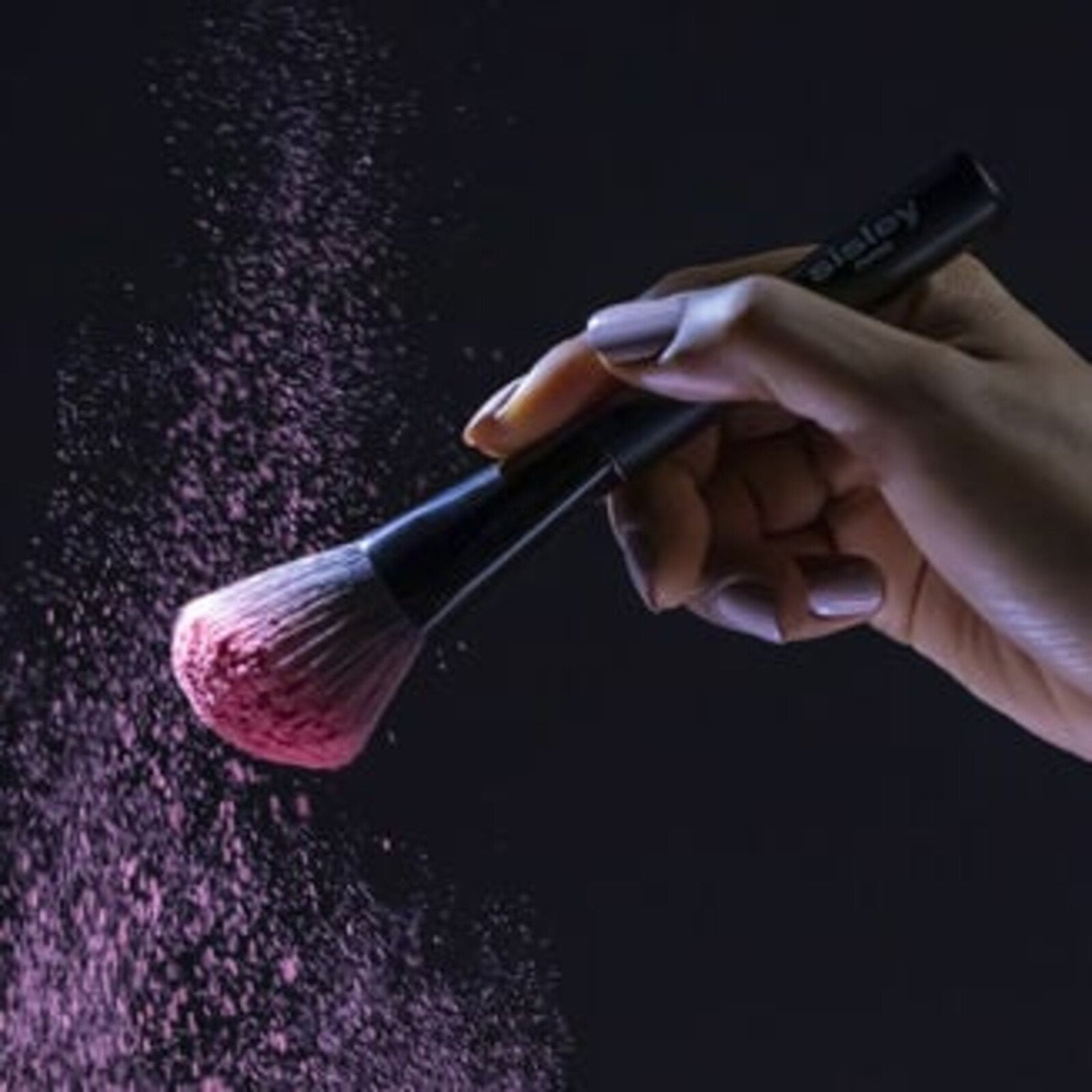 Sisley Paris Blush Brush
