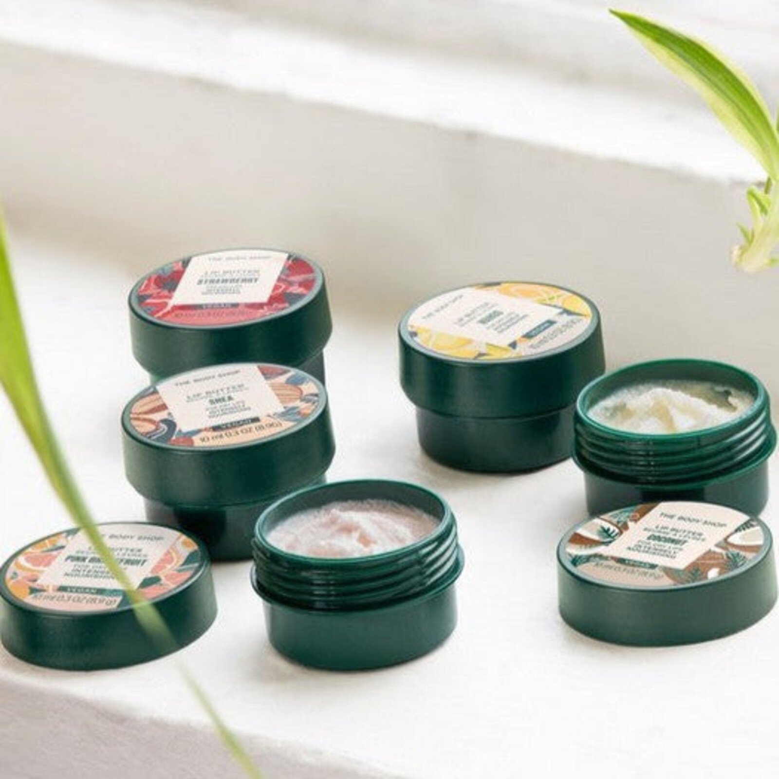The Body Shop Coconut Lip Butter 10ml