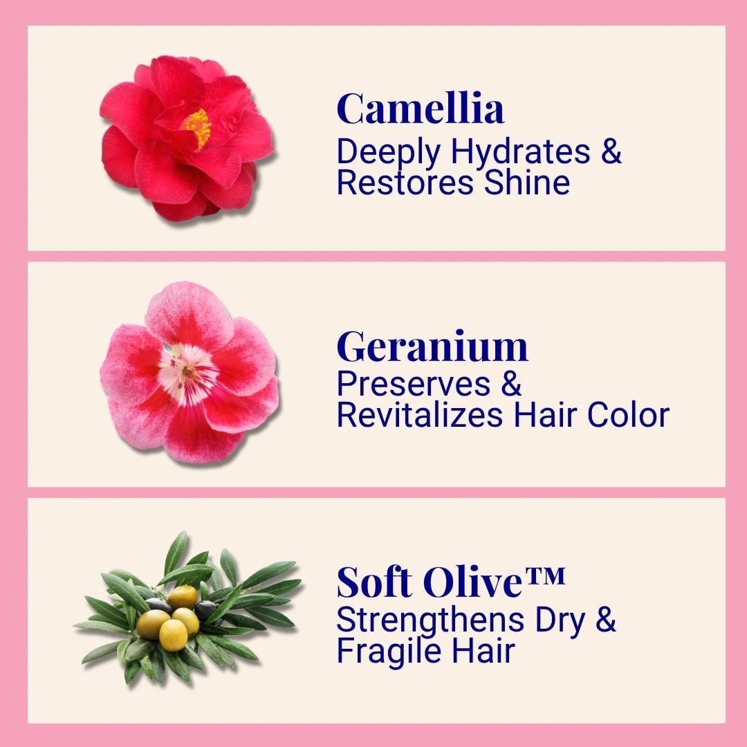 The Powder Shampoo Hydrating Shampoo Camellia & Geranium 70g