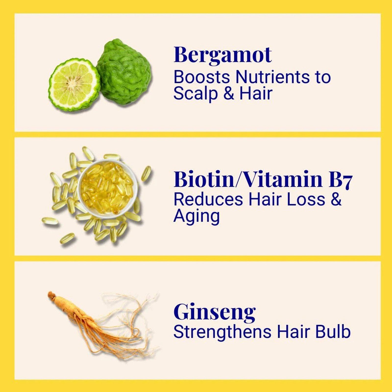 The Powder Shampoo Invigorating Shampoo Bergamot & Thyme 20g