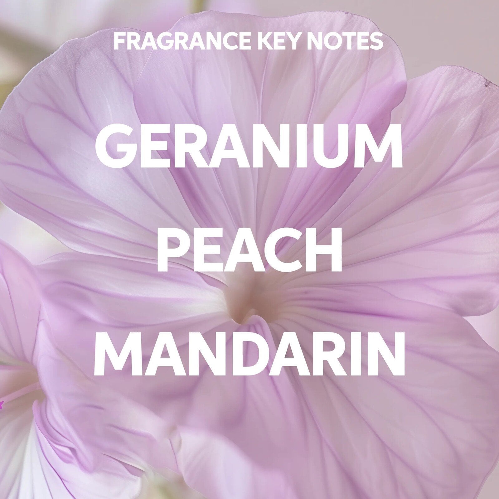 Wella Elements Renewing Shampoo 1L