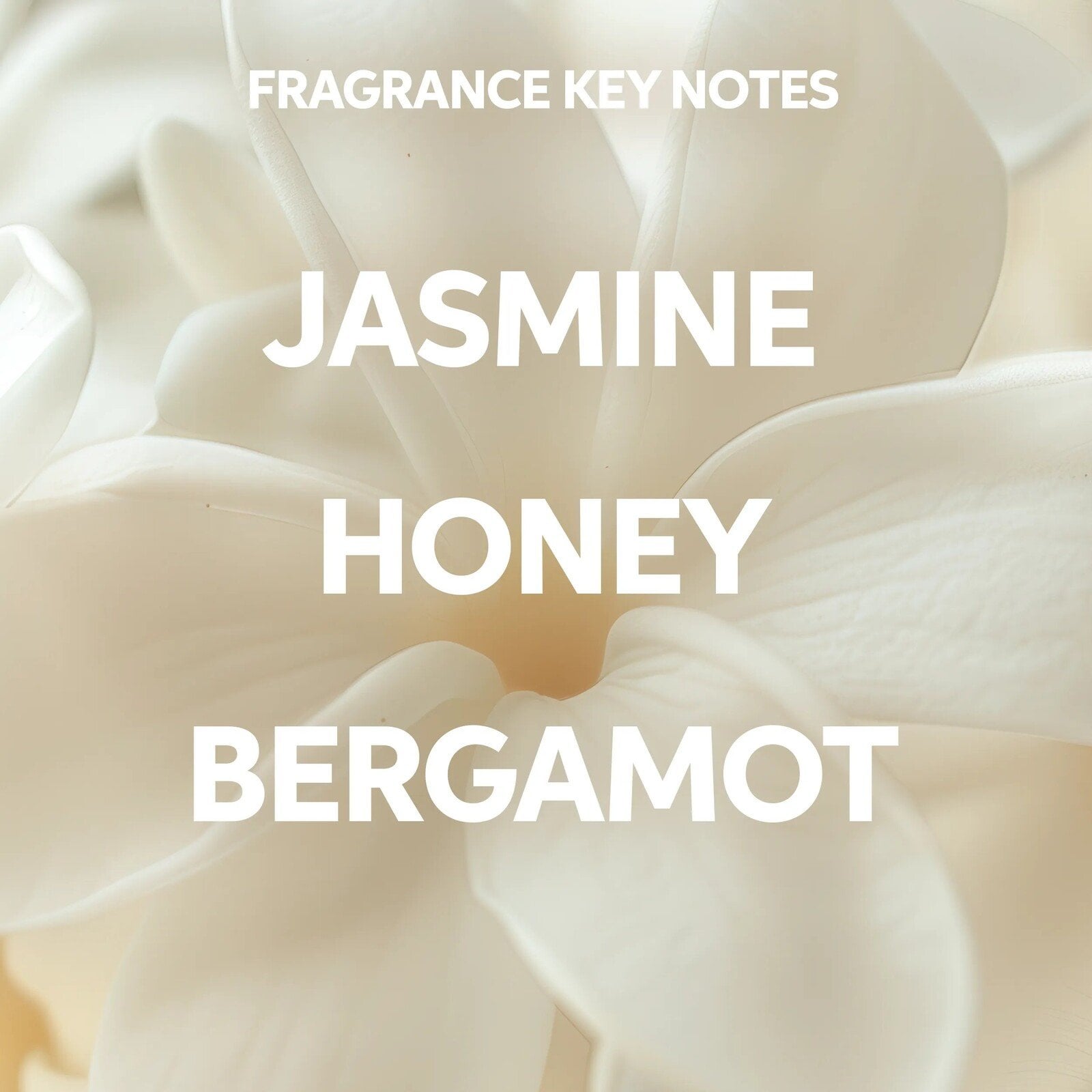 Wella Invigo Color Brilliance Shampoo 1L