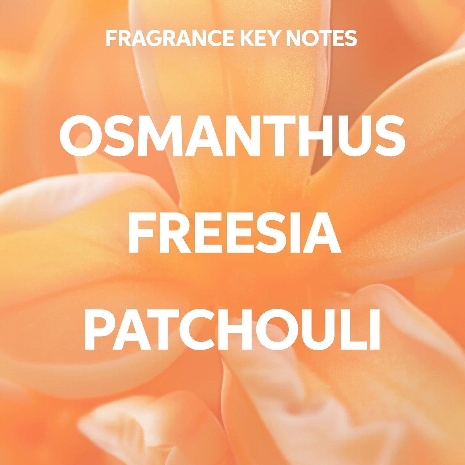 Wella Invigo Nutri Enrich Conditioner 1L