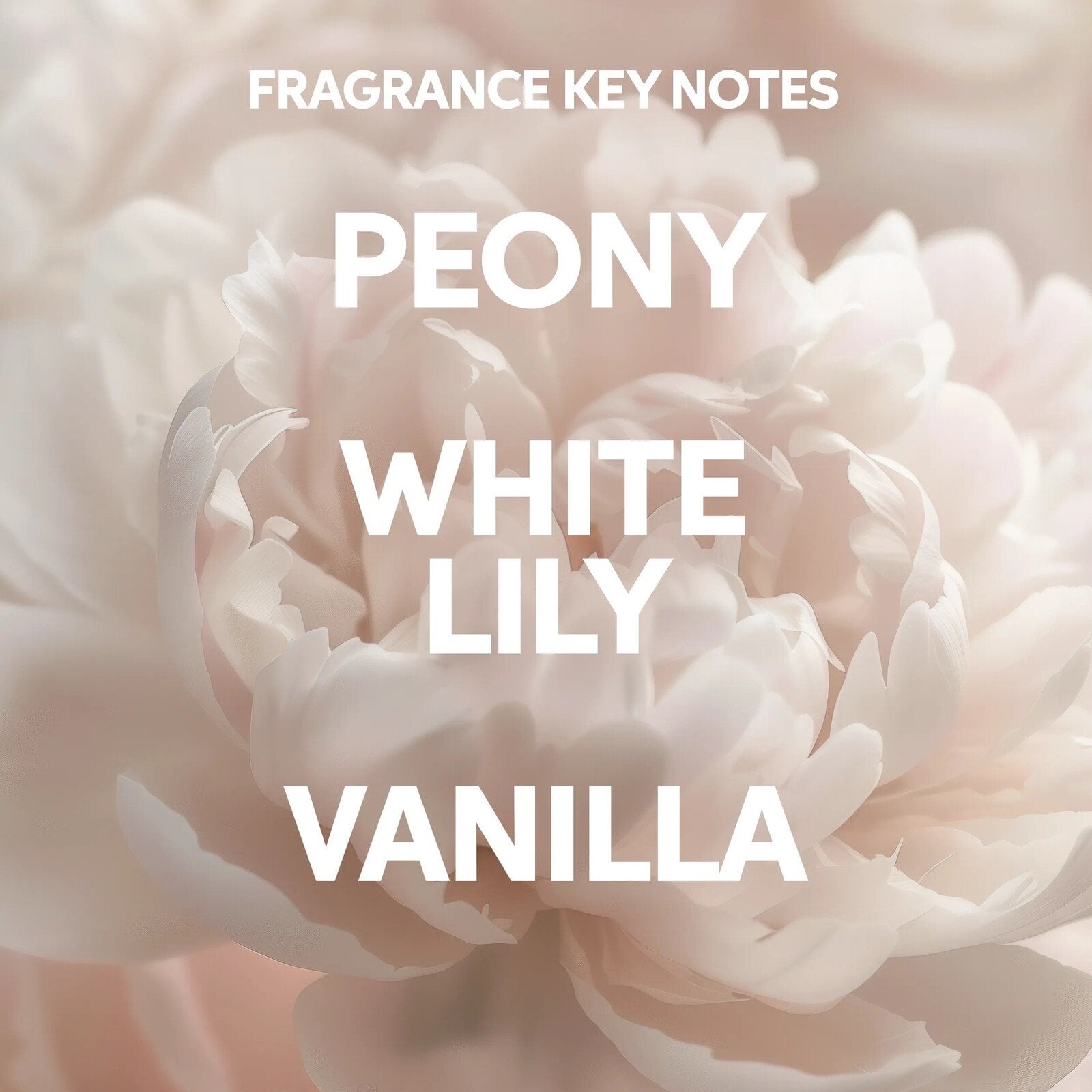 Wella Oil Reflections Shampoo 1L