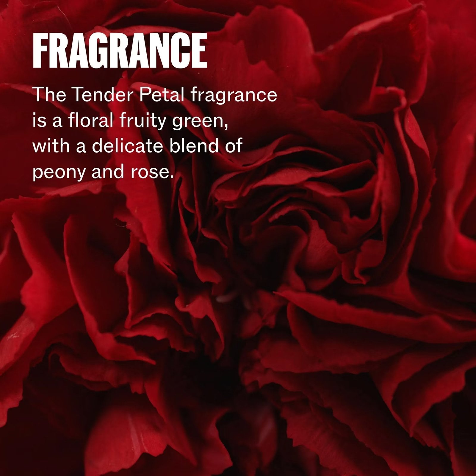 Wella Ultimate Repair Step 1 Shampoo 250ml