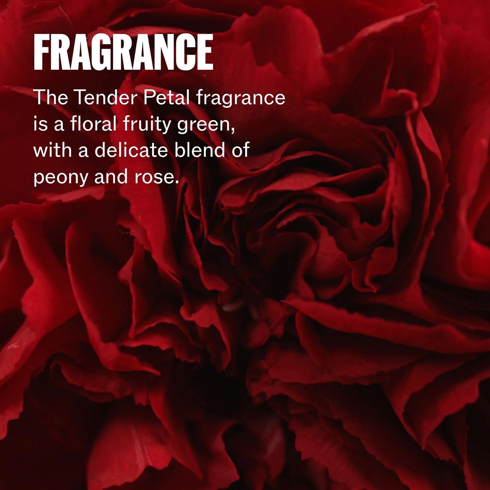 Wella Ultimate Repair Step 5 Night Serum 30ml