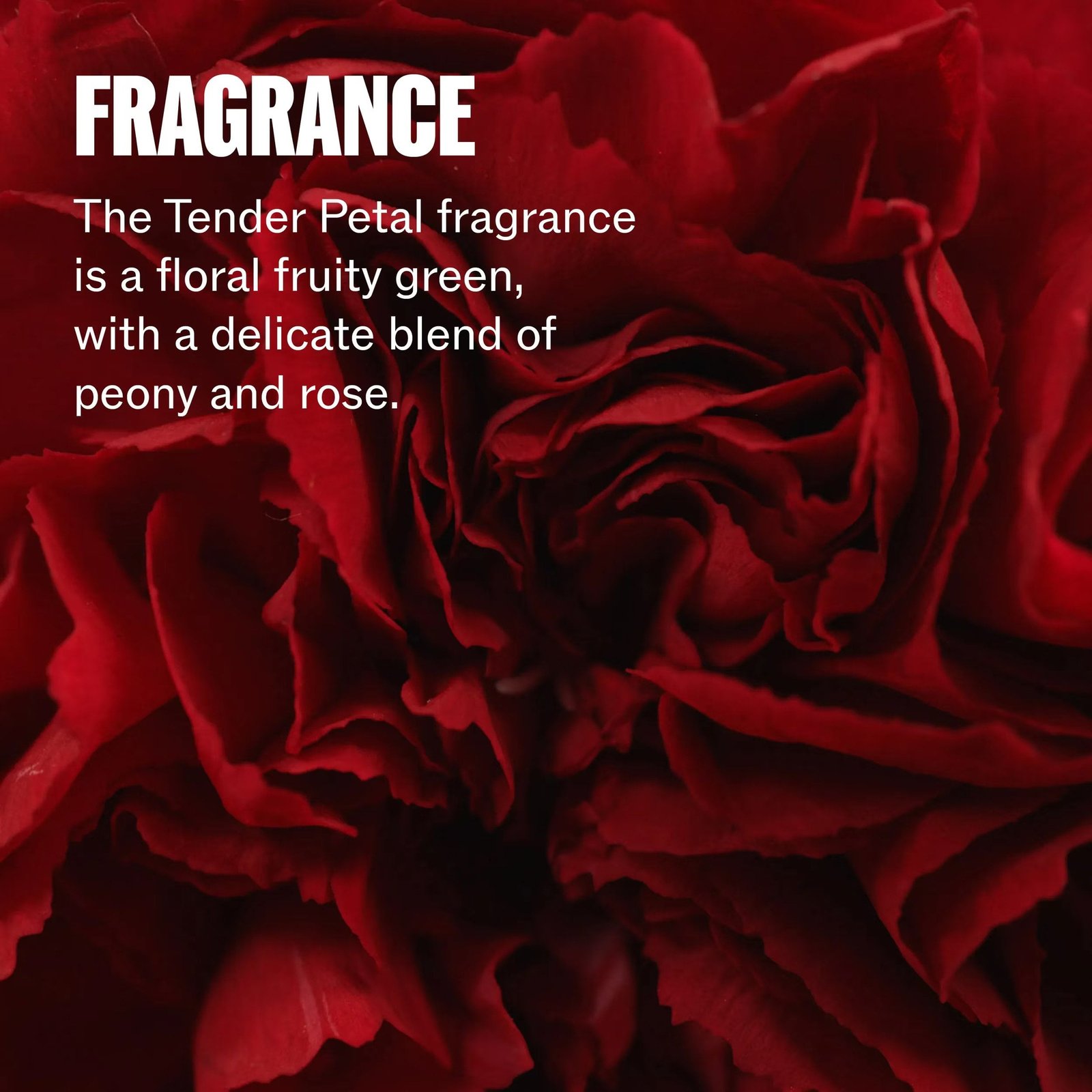 Wella Ultimate Repair Step 5 Night Serum 95ml