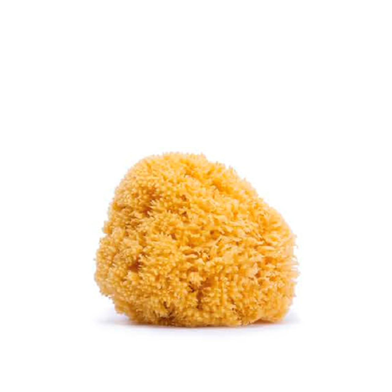 Buy Suavinex Large Natural Sponge +0m · Philippines