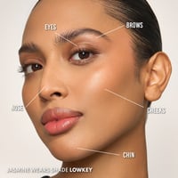 Danessa Myricks Beauty Yummy Skin Lowlighter Blurring Balm Powder Lowkey 6g