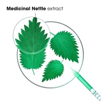 Klorane Oil Control Shampoo with Nettle 400ml