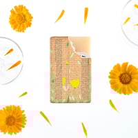 Klorane Baby Cleansing Bar with Organic Calendula 100g
