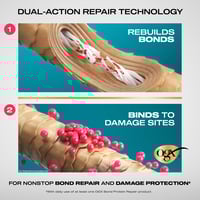 OGX Bond Protein Repair Shampoo 385ml