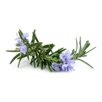 Benamôr Alecrim Purifying Hand Cream 50ml