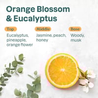 ATTITUDE Super Leaves Deodorant Aluminum-Free Orange Blossom & Eucalyptus 75g (2.64oz)