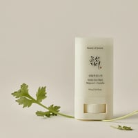 Beauty of Joseon Stick Solar Matte Artemísia + Camélia SPF50+ 18g