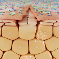 Bioderma Cicabio Crème+ Ultra-Repairing Soothing Cream 100ml