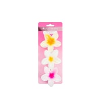 Brushworks Tropical Flower Claw Clips x3