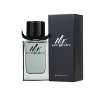 Mr burberry eau de parfum 150 ml shop