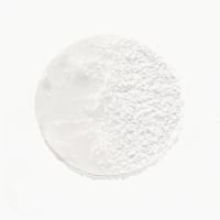 Catrice Magic Shine Eraser Gel To Powder 010 Camera Ready 10g