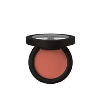 Catrice Soft Blur Powder Blush 030 Cinnamon Sugar 5g