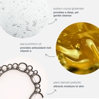 Dermalogica Oil to Foam Total Cleanser 250ml (8.4floz)