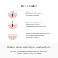 Dr. Althea Premium Quick Step Sebum Cleanser 100ml